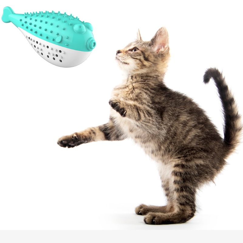 Furjojez velkoobchod legrační pet hračky Zubní kartáček interaktivní hračka přenosná kočka inteligentní čisté zuby gumy Catnip kočka hračka