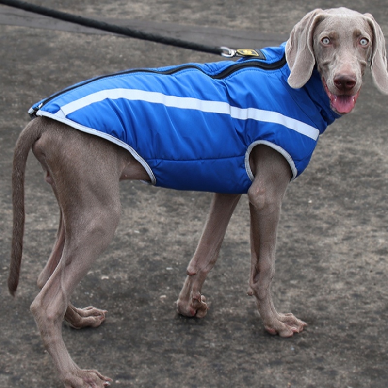 Výrobce Velkoobchod Venkovní Cool Style Vysoce reflexnínitě Dog Bunda Vodotěsné kabáty