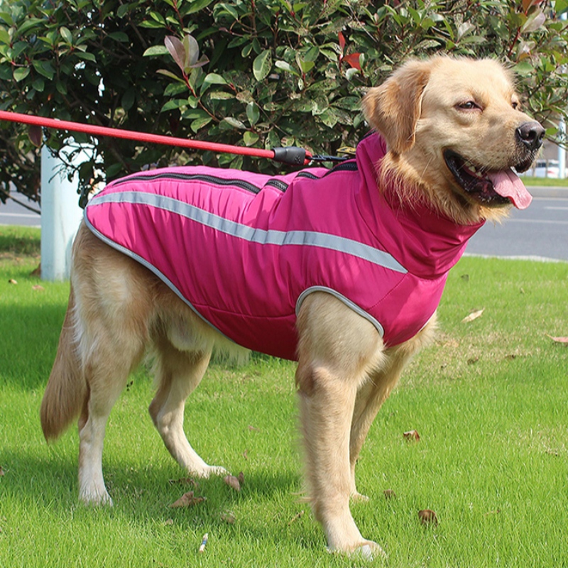 Amazon Top Prodejce Personalizovaný psí postroje psí oblečení odrazný dech pro střední a velké psy