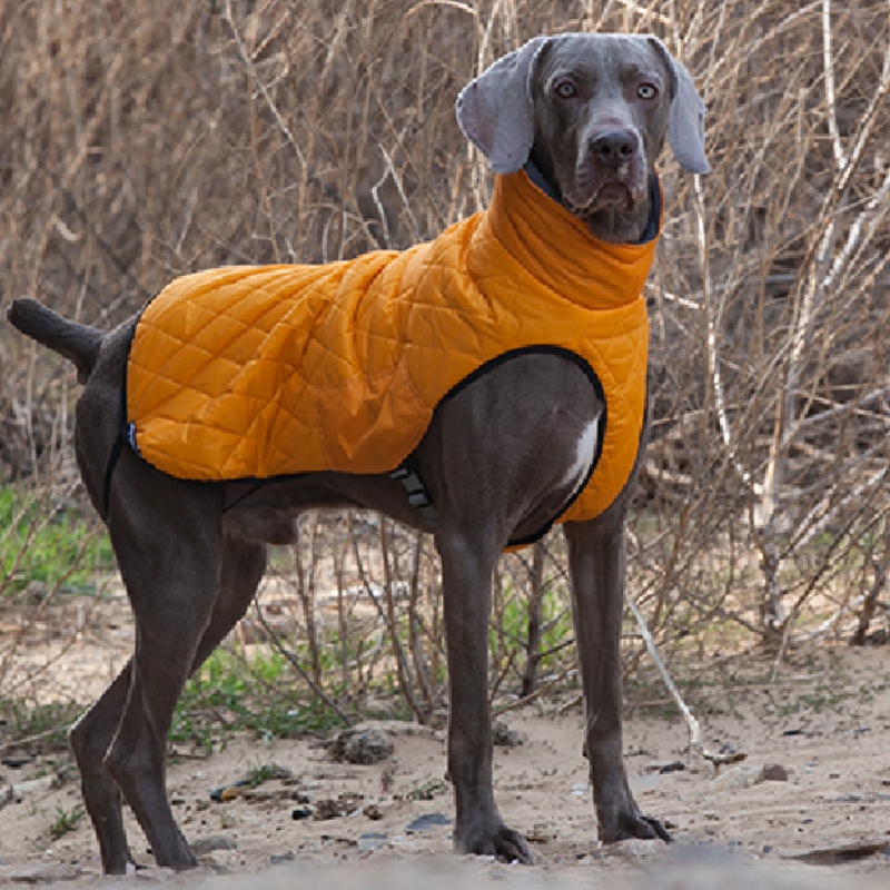 Amazon horké prodejnové pet oblečení psí oblečení podzim a zimní zesílený elastický svetr pet svetr