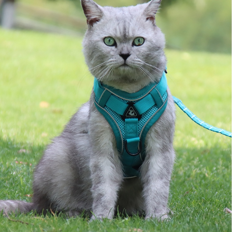 Móda pet vesta typ trakční hrudník popruh kočka snastavitelný zatahovací trakční lano procházky psí lano límec